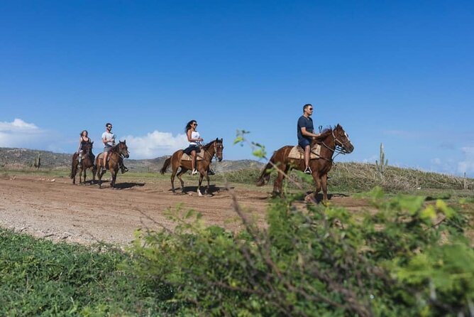 Horseback Riding Wariruri Beach Tour in Aruba - Pricing and Special Offers
