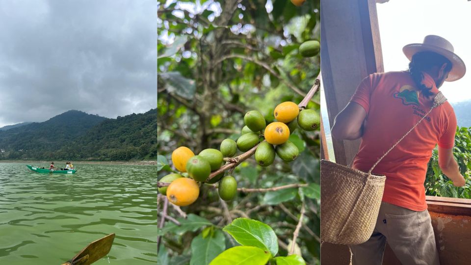 Huauchinango: City Tour, Necaxa Dam, and Coffee Plantations - Tour Logistics and Recommendations