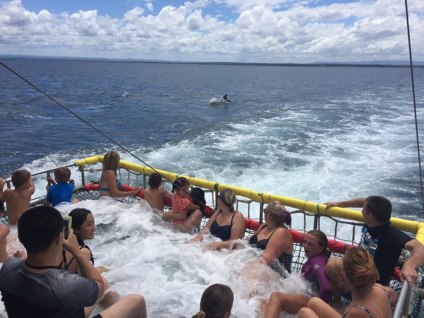 Huskisson: Dolphin Cruise & Boom Netting Experience - Logistics