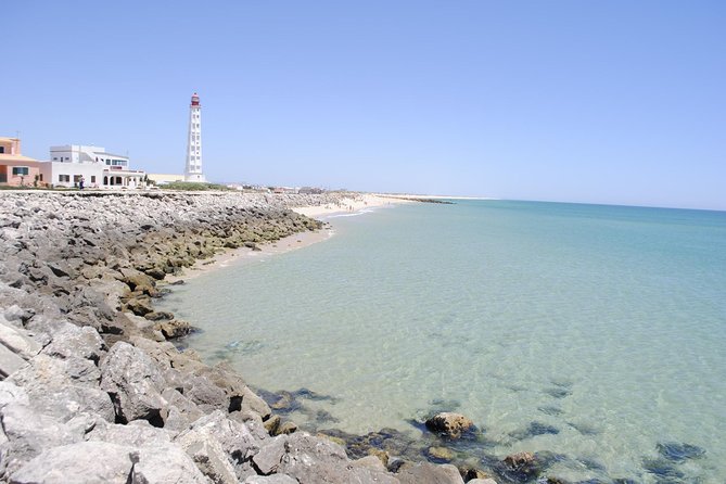 Ilha Deserta and Farol Island: a Small Group Boat Trip in Ria Formosa From Faro - Observing Local Wildlife