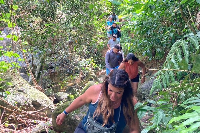 Immersive Small Group Rainforest Adventure With Transportation - Cancellation Terms