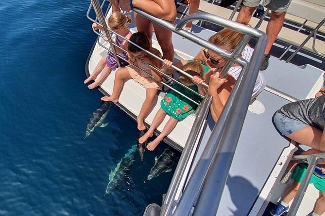 Incredible Dolphin Watching Experience on Our Family Friendly Catamaran - Lagos - Accessibility and Suitability