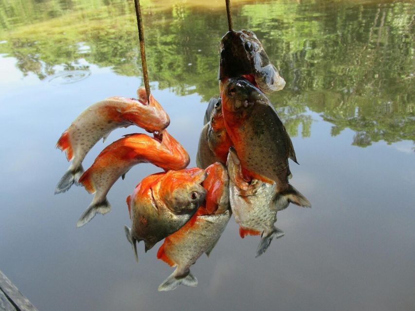 Iquitos: Incredible 4-Day Amazon Tour - Diverse Flora and Fauna