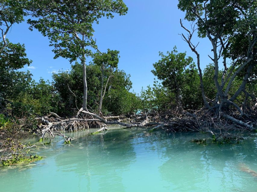 Islamorada: Guided Tour With Local Highlights - Meeting Point