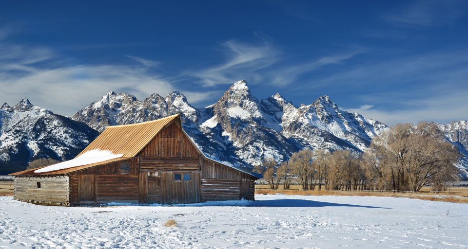 Jackson: Grand Teton and National Elk Refuge Winter Day Trip - Wildlife Viewing