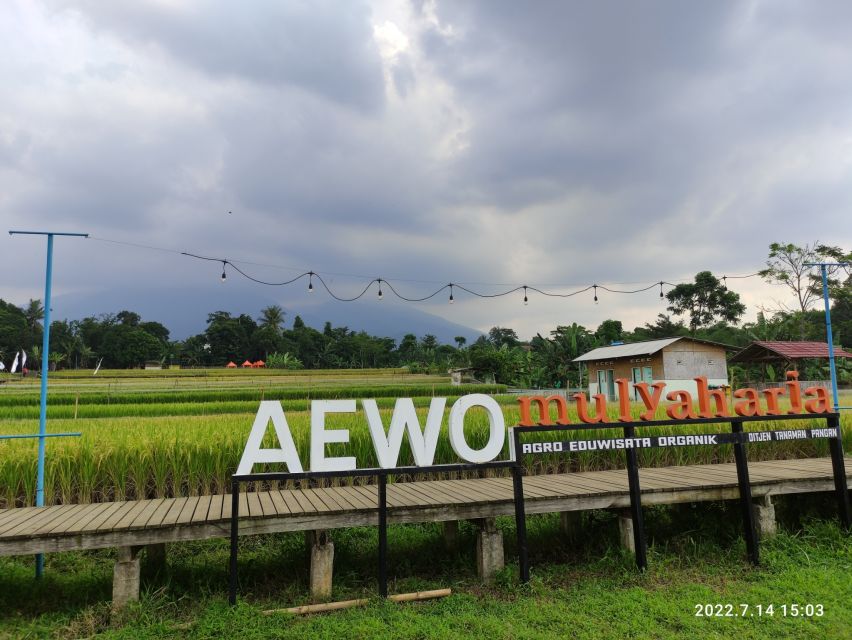 Jakarta : Botanical Garden, Waterfalls, and Rice Fields Tour - Local Village Experience