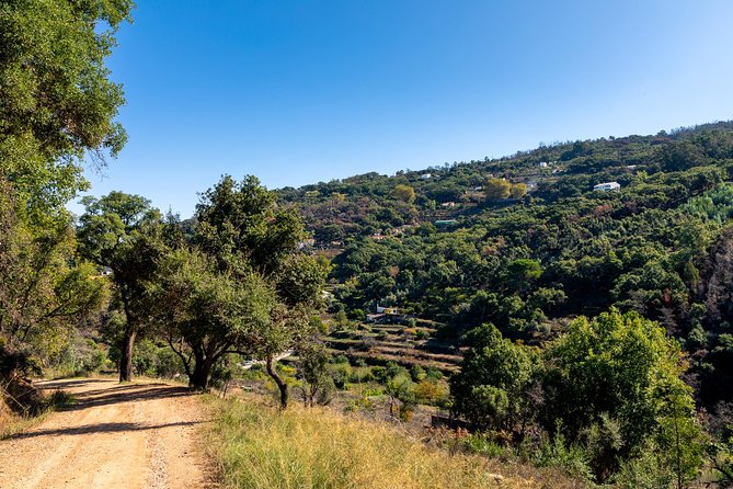 Jeep Safari #1 in Algarve - Discover Local Customs