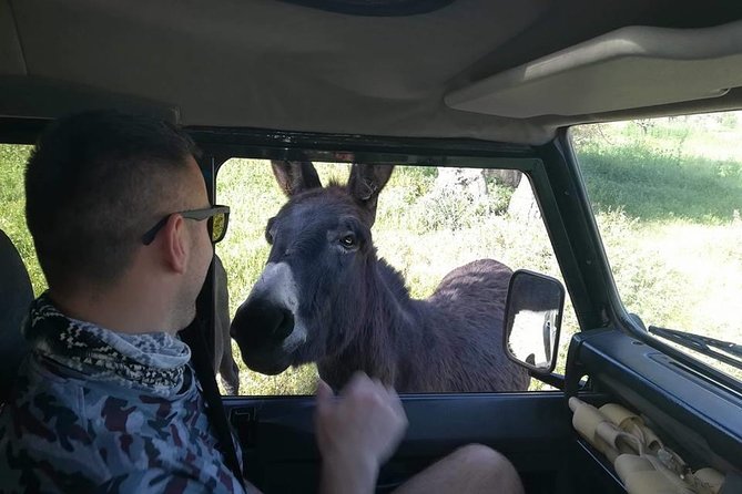 Jeep Safari to Akamas National Park: Avakas Gorge Tour From Paphos - Hiking in Akamas National Park