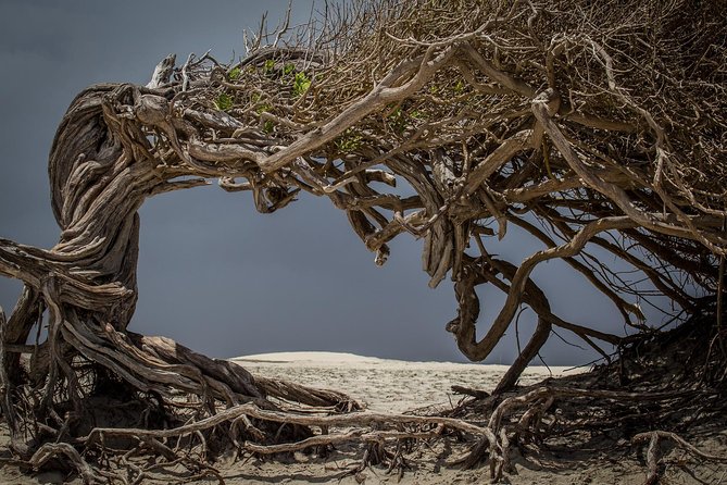 Jericoacoara East Coast Tour - Tour Itinerary