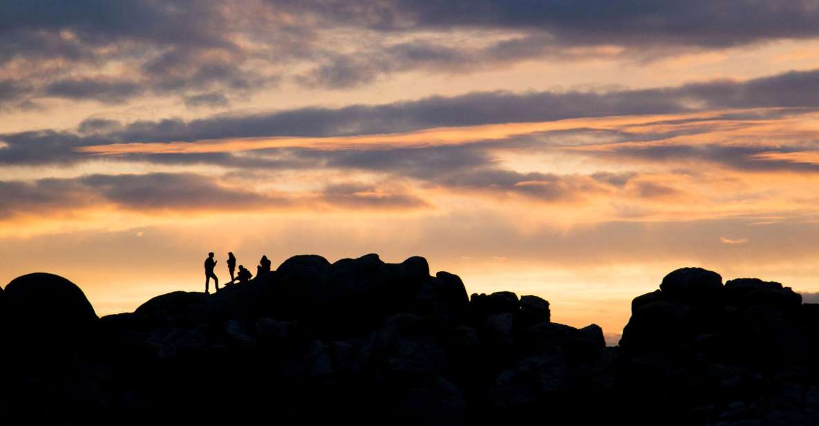 Joshua Tree NP: Sunrise or Sunset Tour - Booking Your Tour