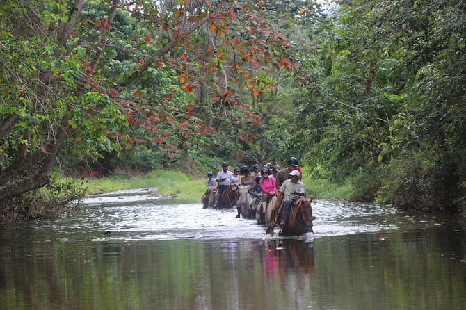 Jungle River Horseback Riding and Zipline Tour Punta Cana - Tour Restrictions