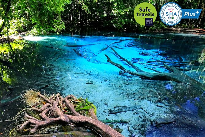 Jungle Tour to Emerald Pool, Krabi Hot Spring and Tiger Cave Temple - Inclusions and Exclusions