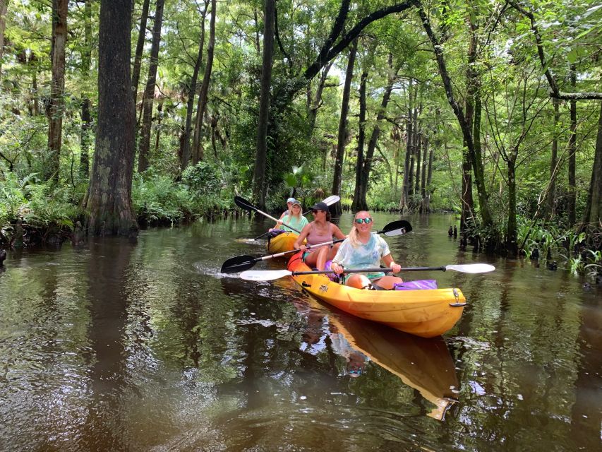 Jupiter: Loxahatchee River Scenic Kayak Tour - Seminole Peoples History