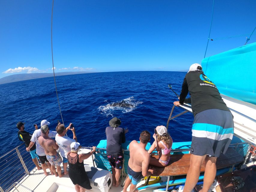 Kaanapali: Whale Watching Cruise With Open Bar - Highlights