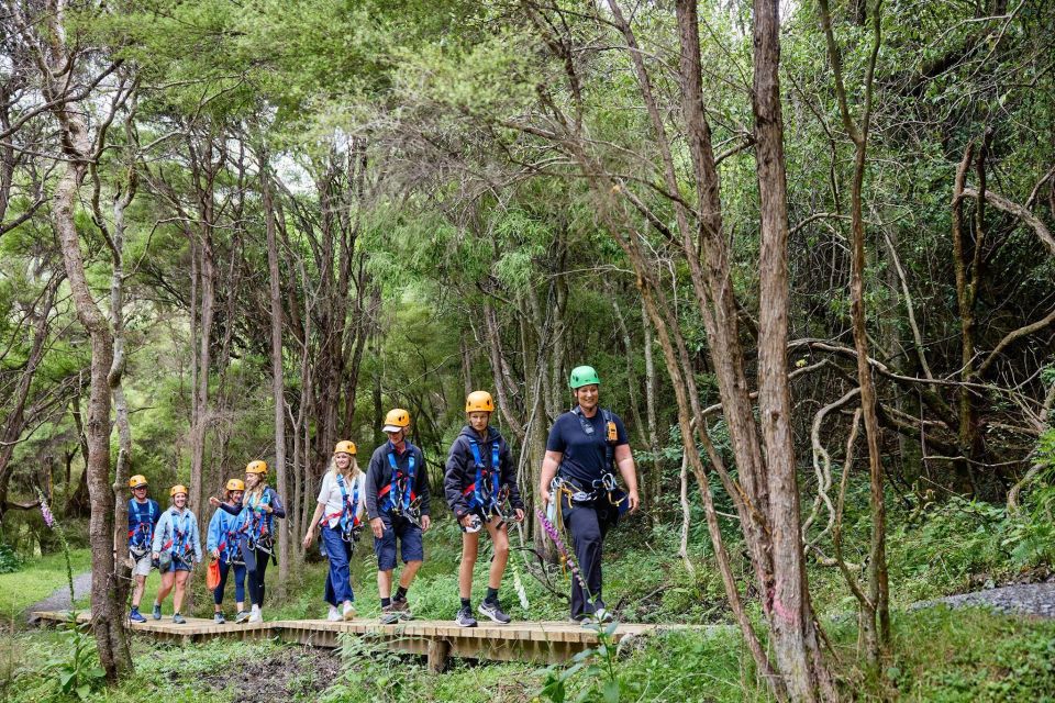 Kaikoura: Zipline and Native Forest Adventure Trip - Language and Highlights