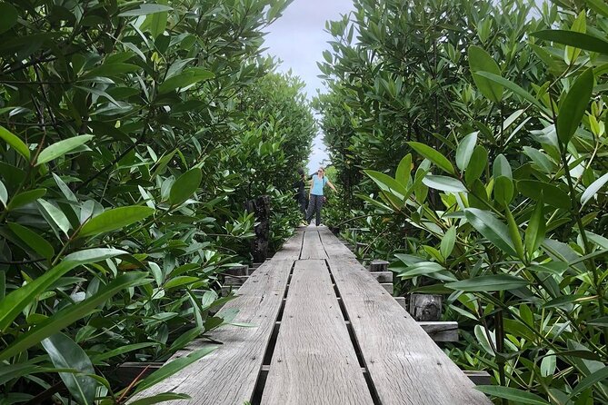 Kampot Countryside Tour - Pepper Farm, Salt Lake, Caves, and More - Pickup and Dropoff
