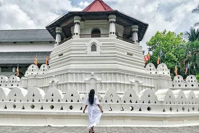 Kandy City Day Tour and Trip Private Luxury Car and Van - Tea Factory Visit