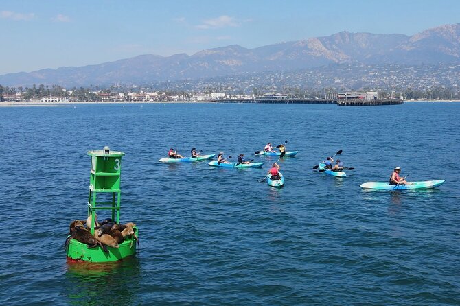 Kayak Tour of Santa Barbara With Experienced Guide - Additional Info