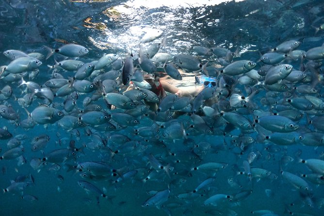 Kayak Tours in Pula to Blue Cave | Cold Beer/Water Included - Meeting Point and Pickup