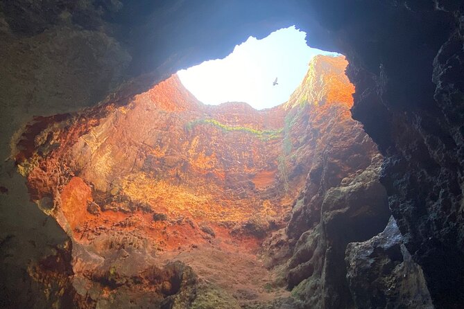 Kayak Tours With Amazing Caves, Sea Life and Marine Biologist . - Meeting and End Point