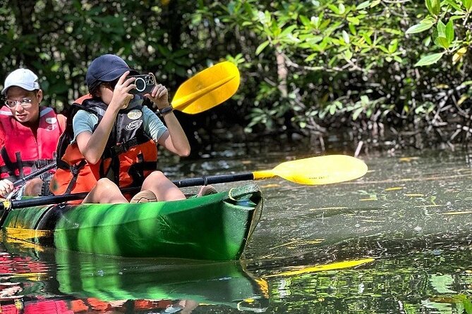 Kayaking Kilim Mangrove Geoforest - Tour Details