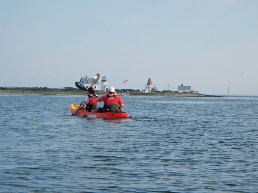 Kennebunkport: Cape Porpoise Half-Day Kayak/SUP Rental - Kayaking to Goat Island