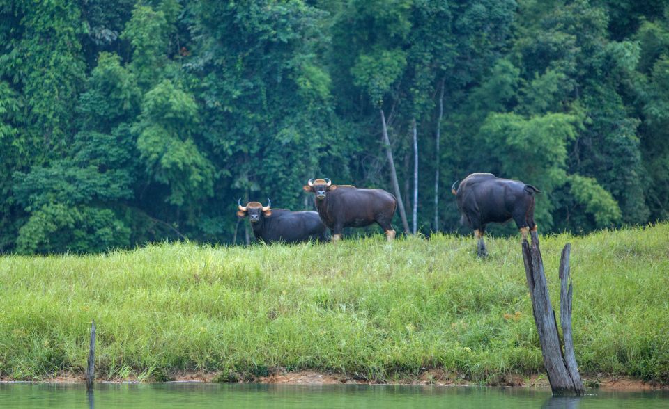 Khao Lak: Cheow Lan Lake Overnight Resort Stay With Meals - Scenic Attractions