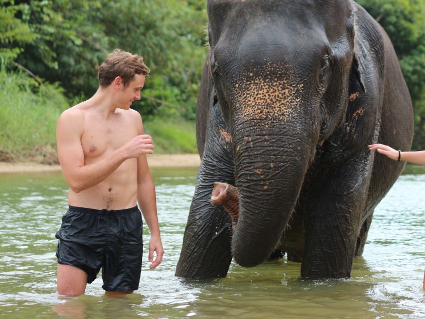 Khao Lak: Elephant Bathing and Feeding Tour - Included