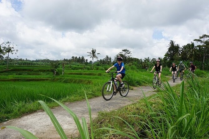 Kintamani Cultural and Nature Cycling Tour - Cycling Through Countryside