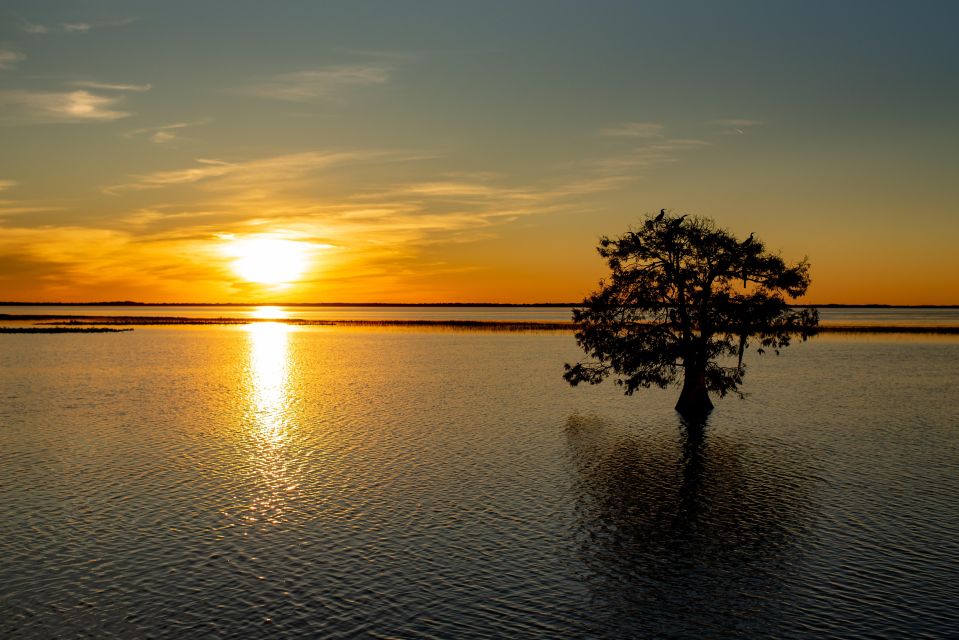 Kissimmee: Boggy Creek Sunset Airboat Tour - Navigating the Everglades Swamplands