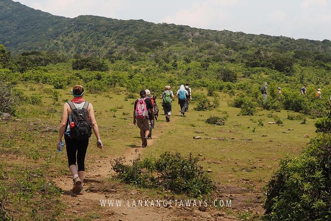 Knuckles Mountain Hiking - Inclusions of the Hiking Tour