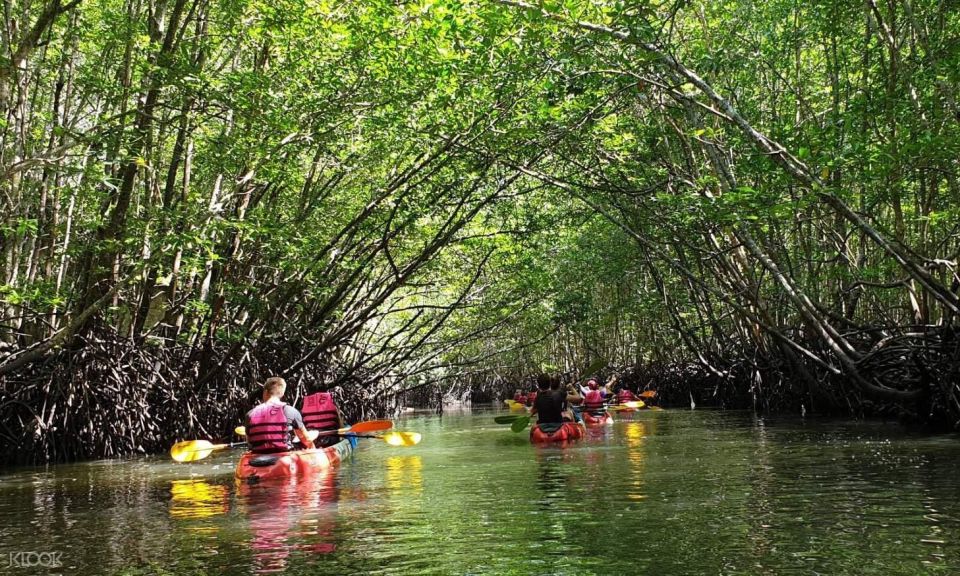 Ko Lanta: Amazon Mangrove Tour Kayaking Tour With Lunch - Mangrove Forest Exploration