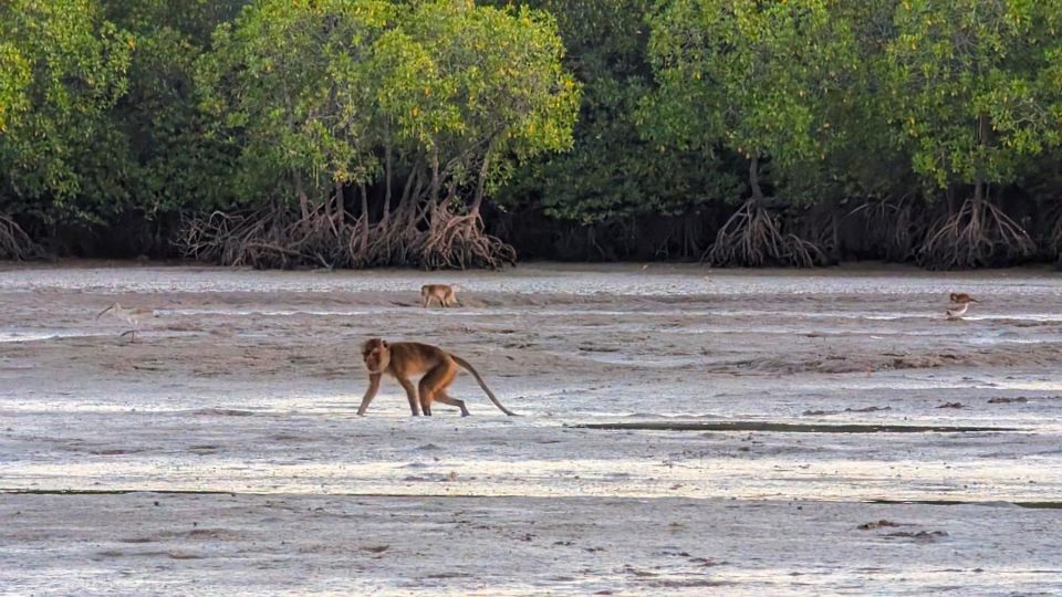 Koh Lanta: Magical Mangroves Sunrise by Private Gondola Boat - Included in the Tour