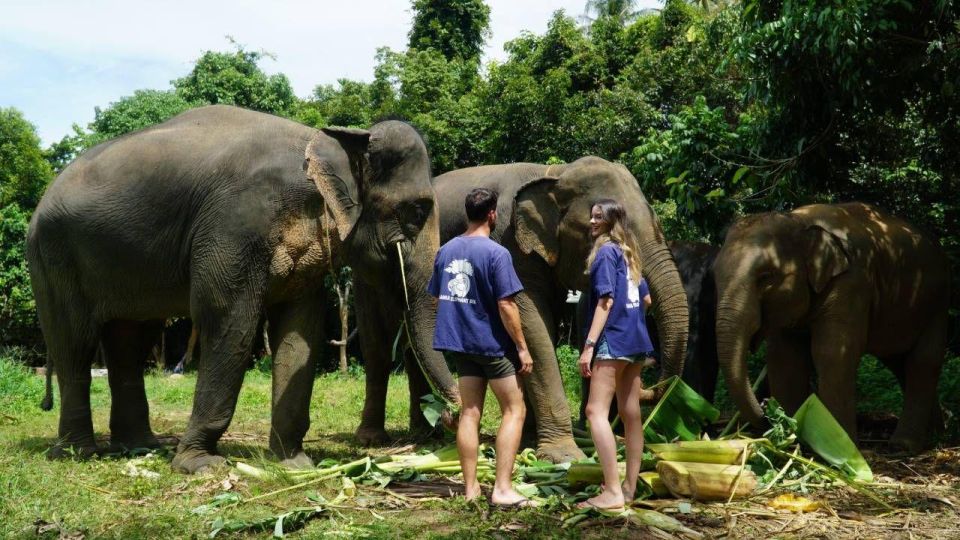 Koh Samui: 4x4 Sightseeing Safari & Elephant Sanctuary Tour - Visiting the Elephant Sanctuary