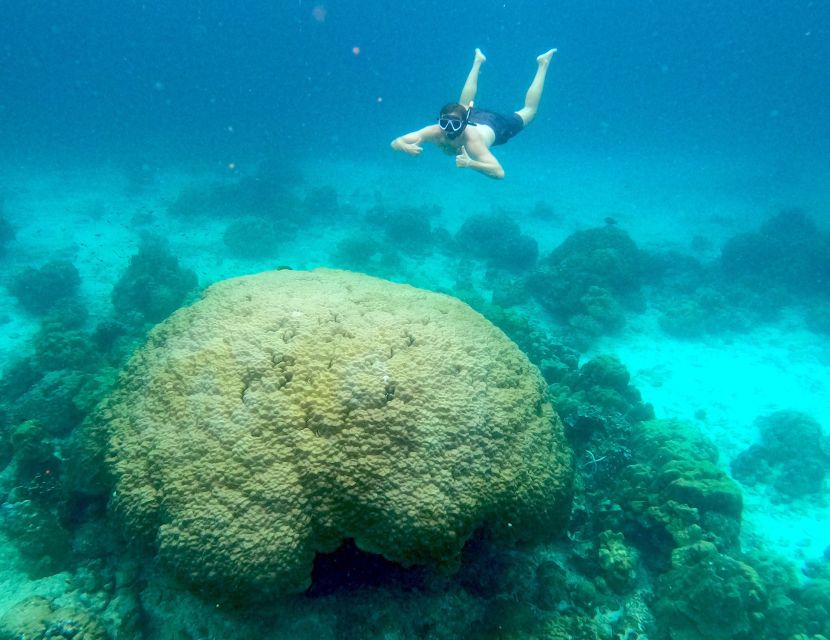 Koh Tao: Private Longtail Snorkel Tour With Nang Yuan Visit - Inclusions