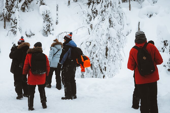 Korouoma Canyon Frozen Waterfalls - Experiencing the Frozen Landscapes