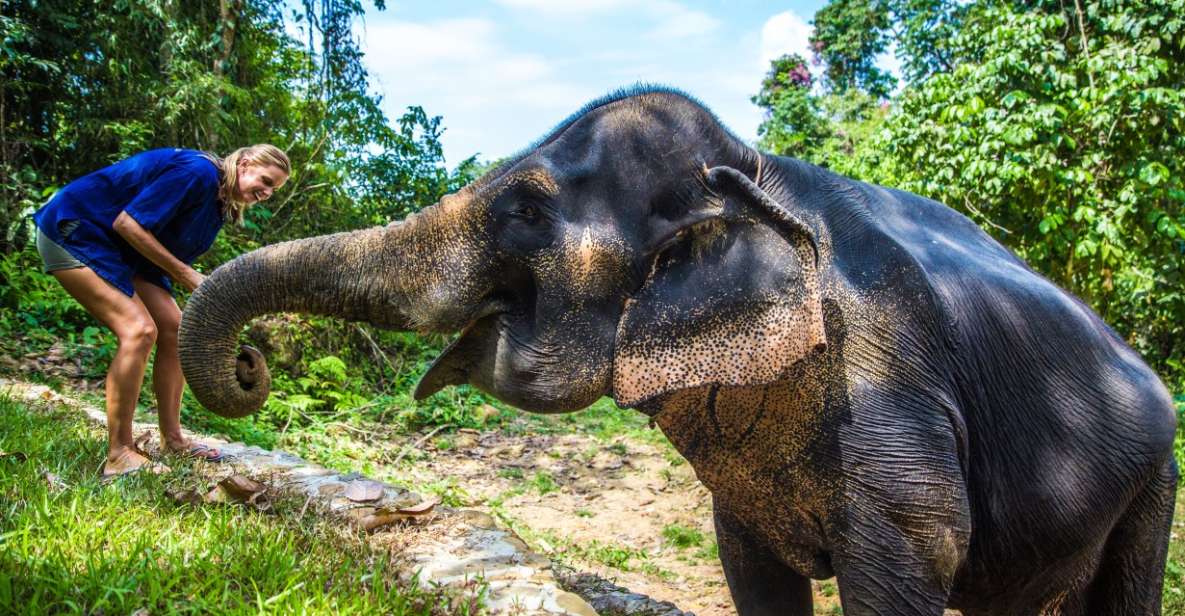 Krabi: Ethical Elephant Sanctuary Experience - Preparing Food for the Elephants