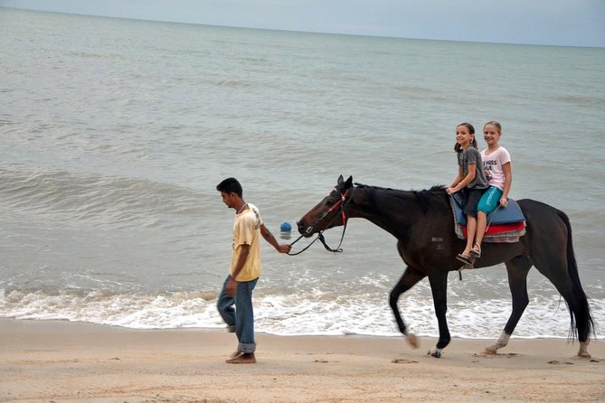 Krabi Horse Riding at Ao Nam Mao Beach - Guest Reviews and Feedback
