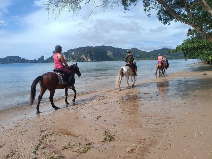 Krabi Horse Riding on the Beach and Atv Extreme - ATV Adventure Highlights