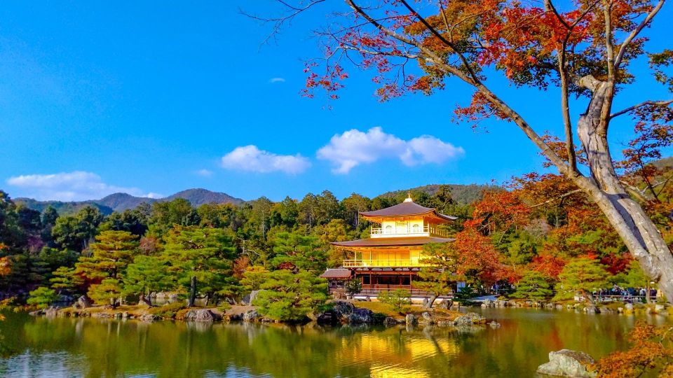 Kyoto: Private Customizable Day Trip by Car - Highlights