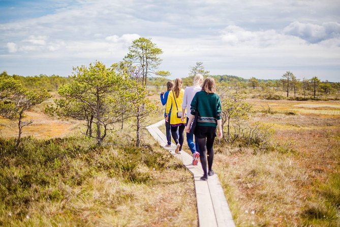 Lahemaa National Park Day Trip - Transportation and Meeting Details