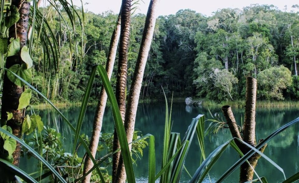 Lake Eacham: Return Transport - Booking and Meeting Point