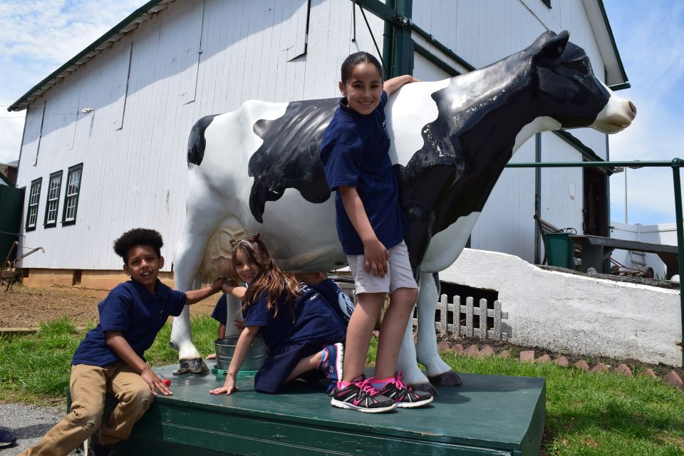 Lancaster County: Amish Farmlands, Museum Tour, Farm Visit - Amish Farmhouse Tour