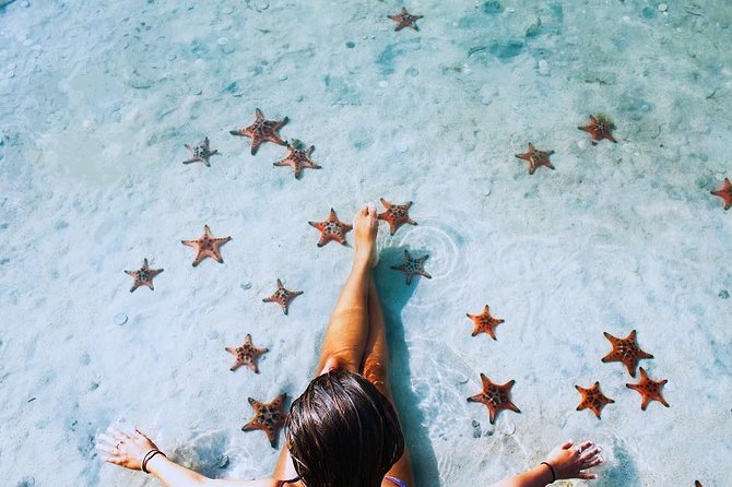 Land Tour 2: Discover the North - Kayaking & Starfish Beach Phu Quoc (Not Lunch) - What to Bring