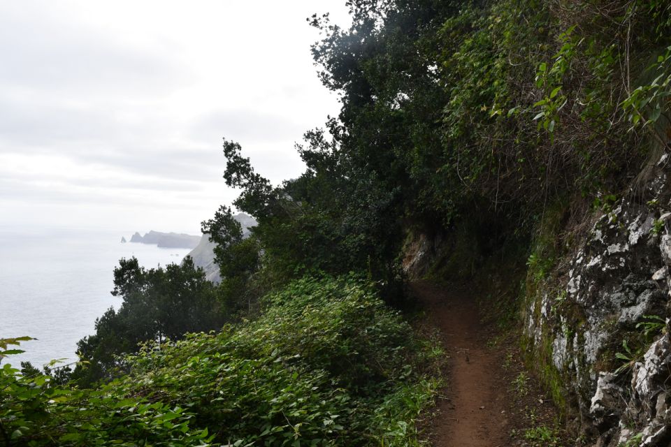 Larano Hike by Overland Madeira - Scenic Vistas