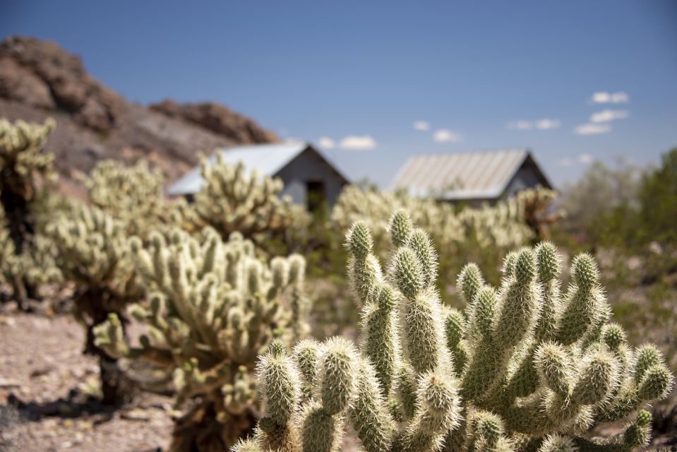 Las Vegas: Eldorado Canyon Gold Mine Tour