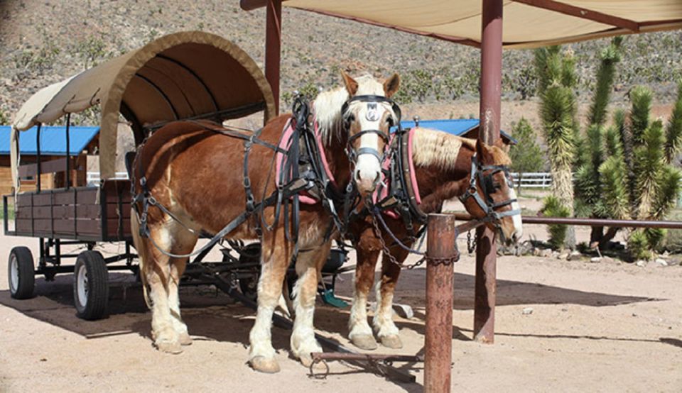 Las Vegas: Grand Canyon Ranch Tour With Horseback/Wagon Ride - Horseback Riding Experience