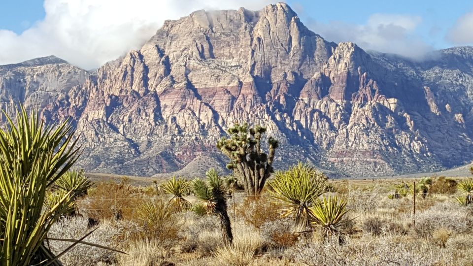 Las Vegas: Red Rock Canyon Ultimate Guided Tour - Highlights