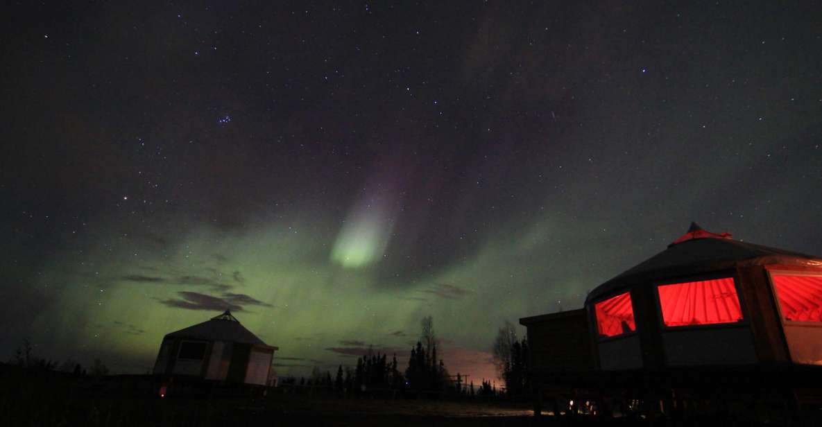 Late Night Yurt Dinner and Northern Lights - Meal and Accommodations