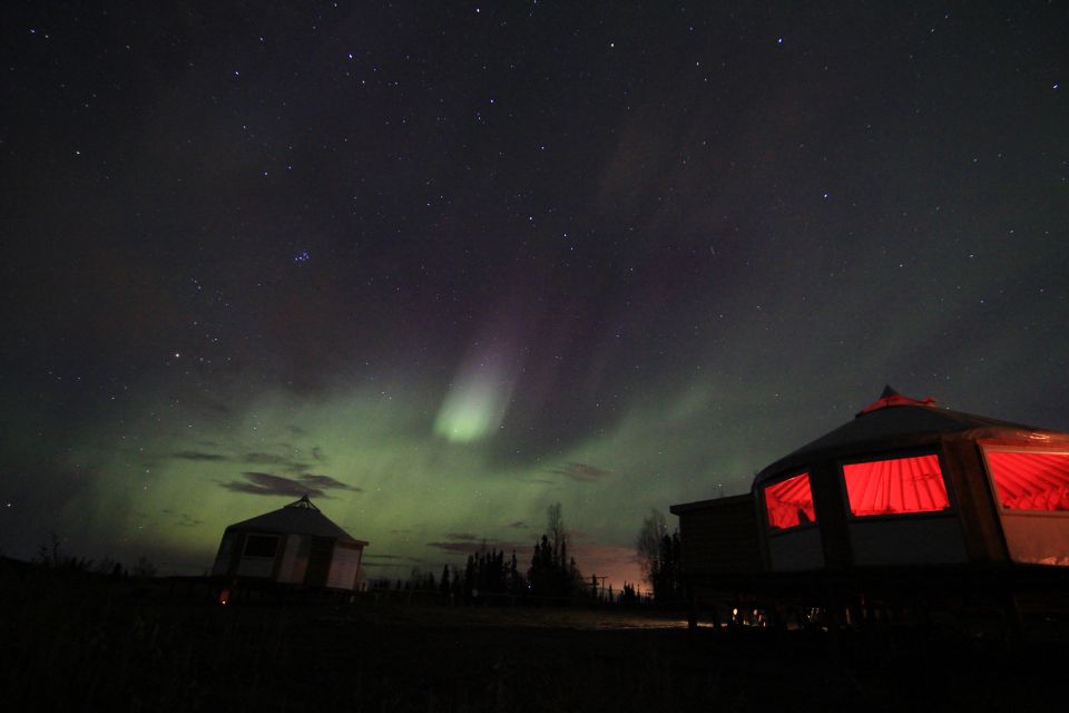 Late Night Yurt Dinner and Northern Lights - Experience Highlights